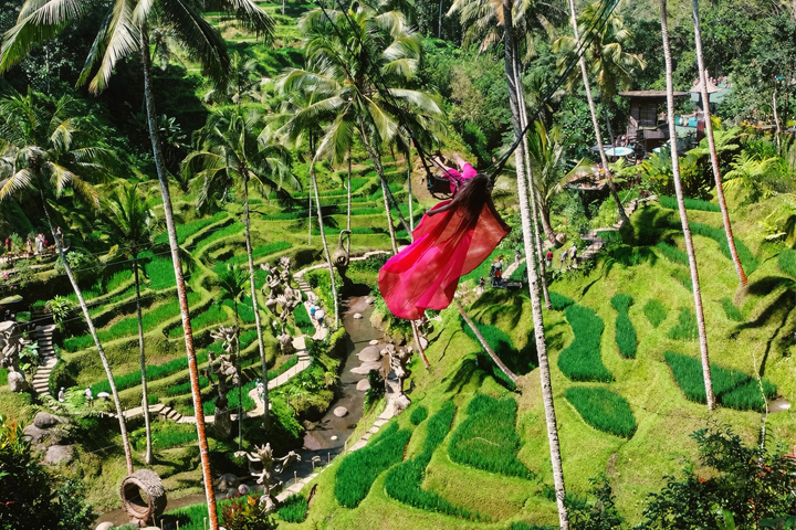 ubud swing tour bali
