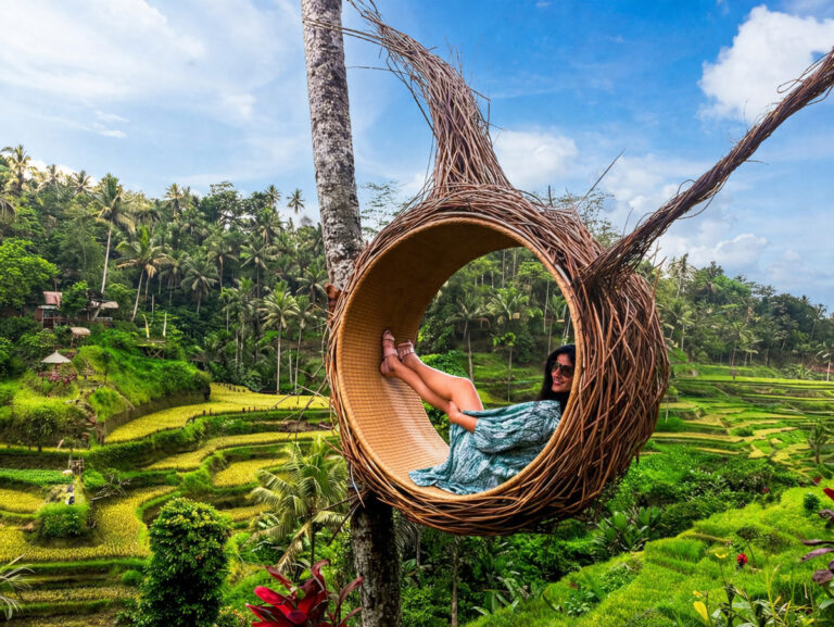 bali private driver tegallalang jpg