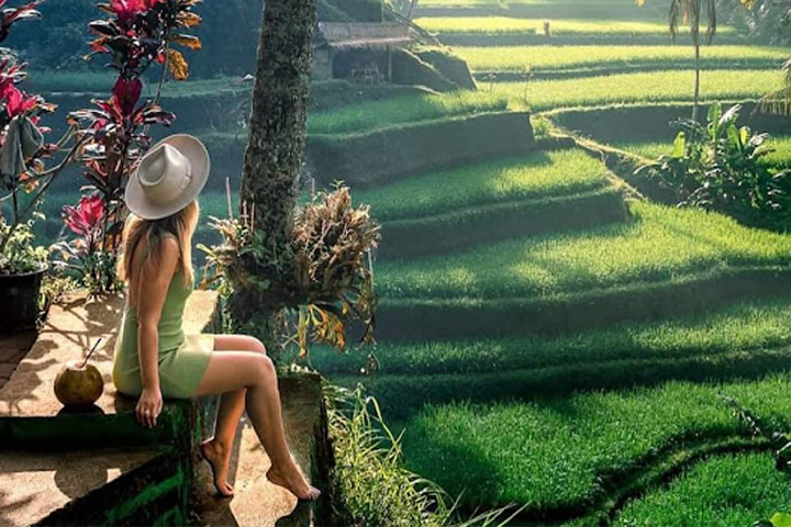 tegallalang rice ubud tour